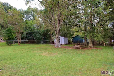 Back Yard View 2 - Huge Back Yard