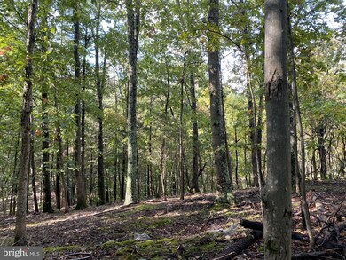 265 Balmoral Ln, Gainesboro, VA 22603 - photo 4