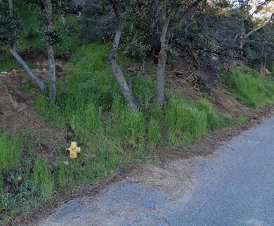 3242011005 hydrant