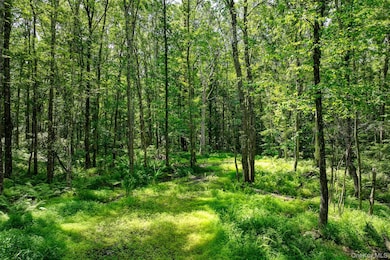 Lot 69 Cushetunk Dr, Cochecton, NY 12726 - photo 5