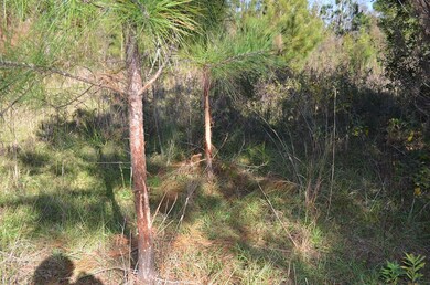 143 Causey Rd, Doerun, GA 31744 - photo 6