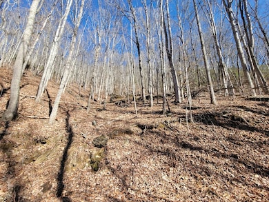 00 Forest Dr, Franklin, NC 28734 - photo 3