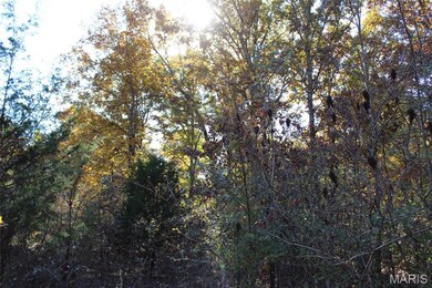 TBD Sandpiper Ln, Fairdealing, MO 63939 - photo 4