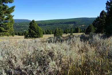 TBD Pessl Spur, Big Sky, MT 59730 - photo 4