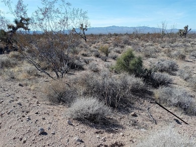 Par 439 Tom Mix Rd, Yucca, AZ 86438 - photo 4