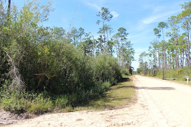 0 Gardenia St unit 780786, Fountain, FL 32438 - photo 5