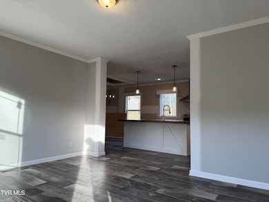 282 Race Track Rd, Rogersville, TN 37857 - photo 6