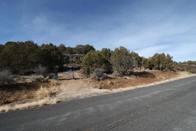 2976 Juniper Way unit Lot 243, New Harmony, UT 84757 - photo 2
