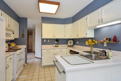 3050 Candlewood Ct unit 2, Flossmoor, IL 60422 - photo 5