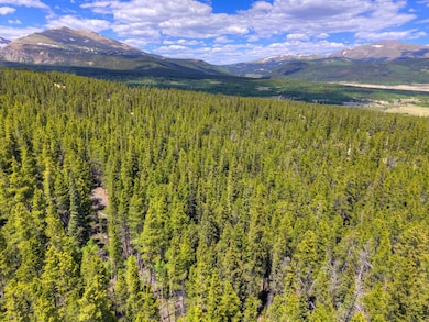 2221 Kootchie Rd, Alma, CO 80420 - photo 2