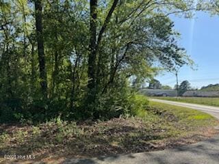 0 5th St unit 100501693, Hamlet, NC 28345 - photo 5