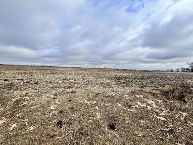 13435 County Road 97 SW, Farwell, MN 56327 - photo 2