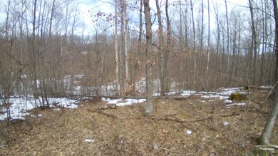 3180 Tice Trail, Lincoln Township, MI 48625 - photo 5