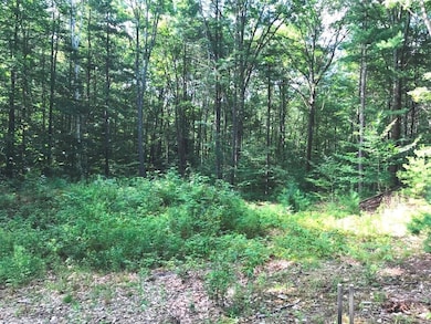 24 Applewood Way, Kittery, ME 03904 - photo 3