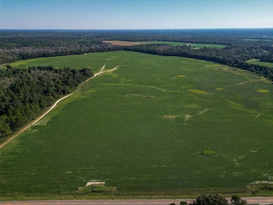 Pullen Rd, Damascus, GA 39841 - photo 6