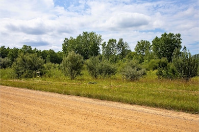 VL 104th Ave, Allegan, MI 49010 - photo 5