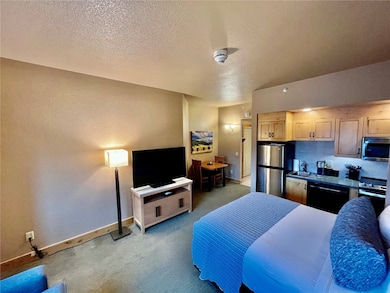 2300 Mount Werner Cir unit 339, Steamboat Springs, CO 80487 - photo 3