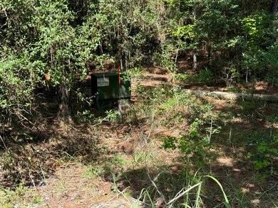 291 Aztec unit Lot 291, Brookeland, TX 75931 - photo 4