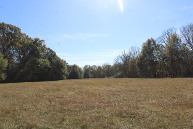 12000 Center Hill Rd, Mineral Wells, MS 38654 - photo 2