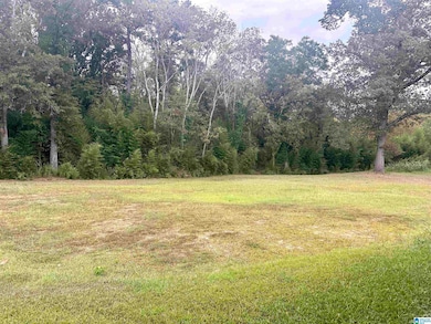 76 4th Ave, Lincoln, AL 35096 - photo 2