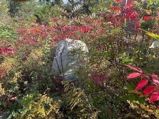 Lot 6 Jay Bird Trail, Franklin, NC 28734 - photo 6