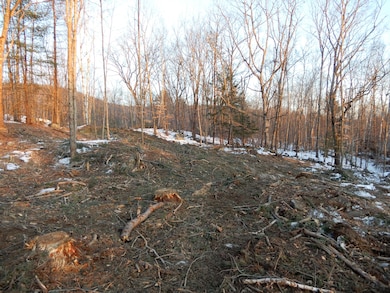 00 Tripptown, Hiram, ME 04041 - photo 6