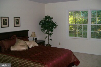 5914 Prince James Dr unit 76, Springfield, VA 22152 - photo 5