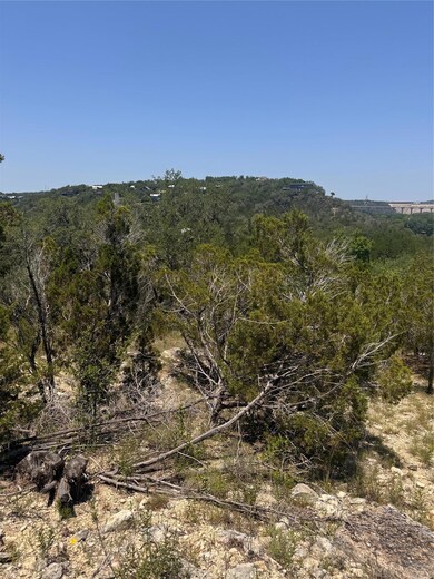 View of local wilderness