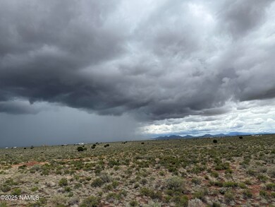 2607 E Valle Rd, Valle, AZ 86046 - photo 4