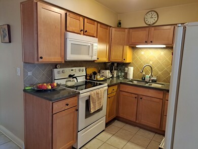 4751 25th Ave unit 7, Schiller Park, IL 60176 - photo 7