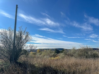 0 Williams Rd unit LotWP001, Rathbone, NY 14801 - photo 4