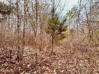 0 S Frontage Rd, Winona, MS 38967 - photo 7