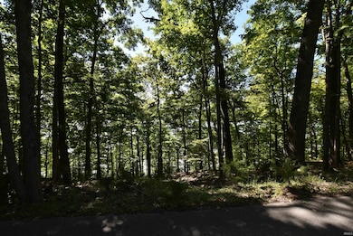 7453 E Rush Ridge Rd, Bloomington, IN 47401 - photo 3