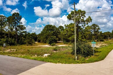 325 Gloria Blvd, Lake Placid, FL 33852 - photo 6