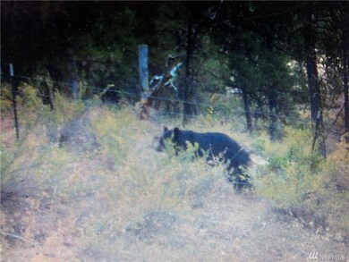 0 Pine Creek Rd unit 1745044, Bickleton, WA 99322 - photo 5