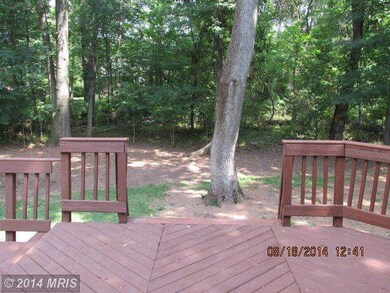 13116 Bramblewood Ln, Herndon, VA 20171 - photo 6