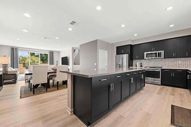 6164 Colt Place unit 101, Carlsbad, CA 92009 - photo 4