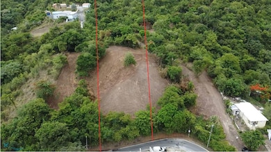 Ramal 150 Bo Guayabal Sitio Lajita unit A, Juana Diaz, PR 00795 - photo 4