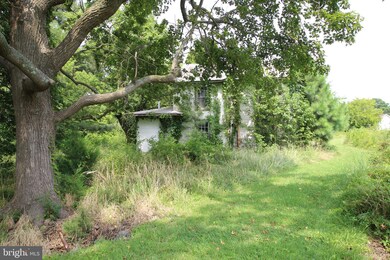 0 Dayton Rd, Vienna, MD 21869 - photo 4