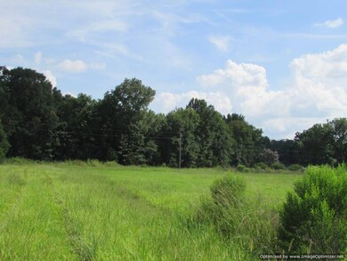 Hwy 43, Canton Mississippi 43, Canton, MS 39046 - photo 6