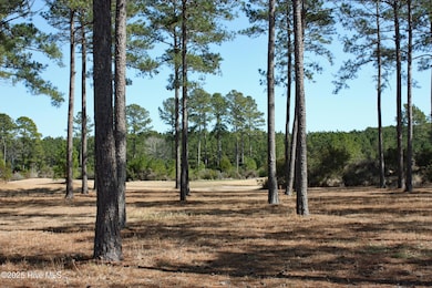 Lightly Wooded Homesite