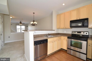 22581 Blue Elder Terrace, Ashburn, VA 20148 - photo 6