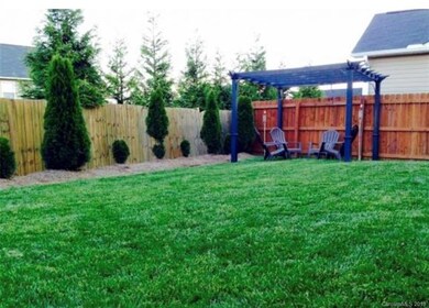 Back Yard from Summer