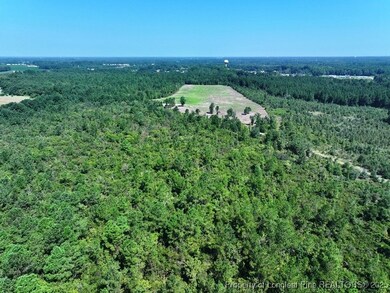 TBD Alamac Rd, Lumberton, NC 28358 - photo 5