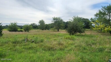 8479 SE 30th St, Baxter Springs, KS 66713 - photo 5