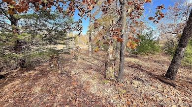 225 W Budinot Dr, Park Hill, OK 74451 - photo 6