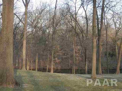 6.928 ac Kickapoo Edwards, Edwards, IL 61528 - photo 6