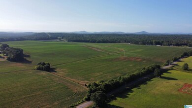 345 Conchardee Ln, Lincoln, AL 35096 - photo 4