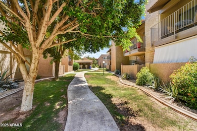 5525 E Thomas Rd unit N1, Phoenix, AZ 85018 - photo 3