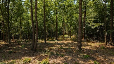 1853 Hill River Rd, Hiddenite, NC 28636 - photo 4